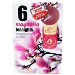 Admit Tea Lights Magnolia 6 ks – Hledejceny.cz
