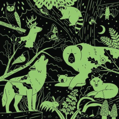Mudpuppy Lesní zvířátka svítící ve tmě 500 dílků – Zboží Mobilmania