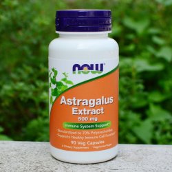 NOW Foods NOW Astragalus Extrakt Kozinec 500 mg 90 veg. kapslí