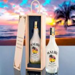Malibu 21% 0,7 l (holá láhev) – Zboží Dáma