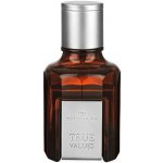 Tom Tailor True Values toaletní voda pánská 30 ml – Zboží Mobilmania