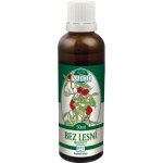 Naděje P27 Lesní bez hroznatý tinktura z pupenů 50 ml – Hledejceny.cz