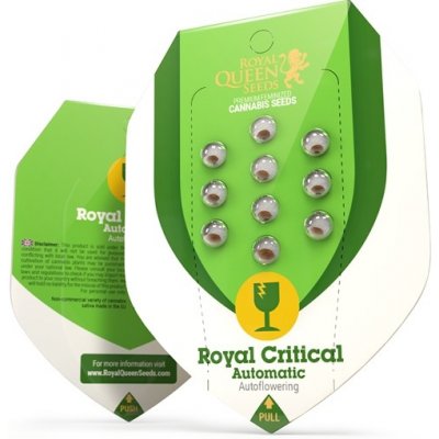 Royal Queen Seeds Royal Critical AUTO Semena neobsahují THC 10 ks – Zboží Dáma