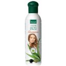 Finclub Aloe Vera Shampoo 250 ml