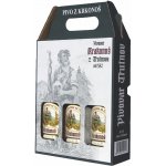 KRAKONOŠ pack 12 světlé 5,1% 3 x 0,5 l (set) – Sleviste.cz