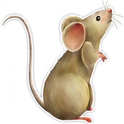 Samolepka (na auto, notebook) myš (2) – Hledejceny.cz