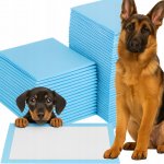 ISO 6679 podložky 60 x 45cm 50 ks – Zboží Dáma