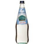 San Benedetto neperlivá voda 0,75 l - sklo – Hledejceny.cz