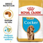 Royal Canin Cocker Puppy 3 kg – Sleviste.cz