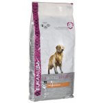 Eukanuba Golden Retriever 12 kg – Hledejceny.cz