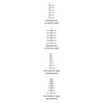 Regál oboustranný KO206750 – Hledejceny.cz