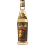R. Jelínek sladká meruňka 35% 0,7 l (holá láhev) – Hledejceny.cz