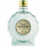 R. Jelínek Hruškovice Williams Kosher 42% 0,05 l (holá láhev) – Zboží Dáma