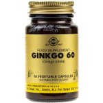 Solgar Ginkgo Biloba 60 kapslí – Hledejceny.cz