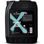 Deturner Expert Line Glass 5 l – Zboží Mobilmania