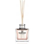 Santini Aroma difuzér Růže 10 ks stébel 100 ml – Zbozi.Blesk.cz