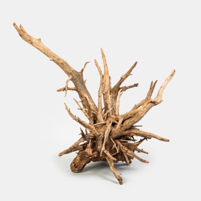 Rataj Kongo wood 30-40 cm – Zboží Mobilmania