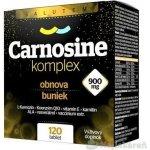 Salutem Carnosine komplex 900 mg 60 tablet – Hledejceny.cz