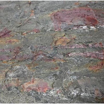 ALFIstyle Burning Forest 122 x 61 cm 1ks – Zbozi.Blesk.cz