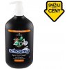 Šampon Schauma Men Sports Power 2v1 šampon 750 ml