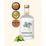 Anton Kaapl Bierbrand 47% 0,5 l (holá láhev) – Zboží Mobilmania