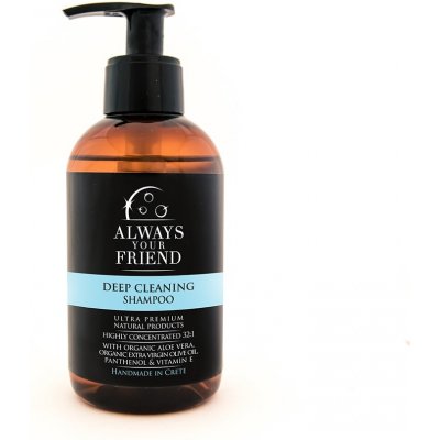 Always Your Friend AYF Šampón Deep Clean 250 ml – Zboží Dáma