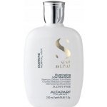 Alfaparf Milano Semi di Lino Diamond Illuminating Shampoo 250 ml – Zboží Dáma