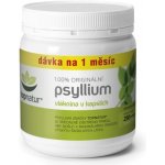 Apotheke BIO Psyllium 300 g – Hledejceny.cz