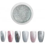 Aglia Chrome Mirror PLATIN pigment 0,5 g – Hledejceny.cz