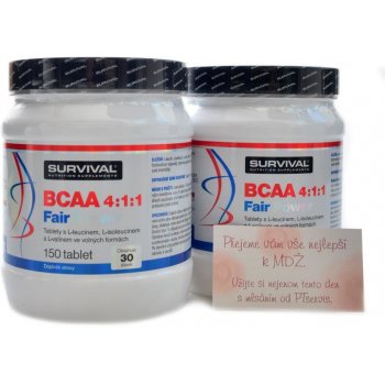 Survival BCAA 4:1:1 Fair Power 300 tablet