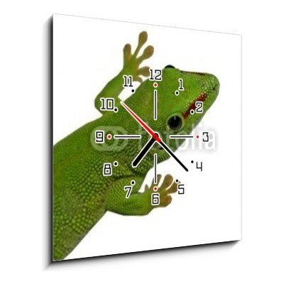 Obraz s hodinami 1D - 50 x 50 cm - lezard vert lizard drn reptile – Hledejceny.cz