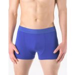 Atlantic Gina pánské boxerky s kratší nohavičkou, kratší nohavička, šité, jednobarevné 73064P – Zbozi.Blesk.cz