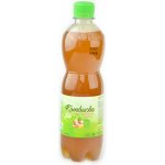 Stevikom bio Kombucha zázvorová s meduňkou 0,5 l – Zboží Dáma