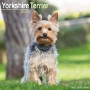 Yorkshire Terrier Square Dog Breed Wall 16 Month 2024