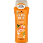 Gliss Kur Summer Repair šampon 250 ml – Hledejceny.cz