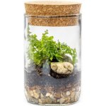 Gardners Skleněná váza Lipia s korkovým víčkem, výška 11,5 cm - osázené vlhkomilně – Hledejceny.cz