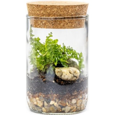 Gardners Skleněná váza Lipia s korkovým víčkem, výška 11,5 cm - osázené vlhkomilně – Hledejceny.cz