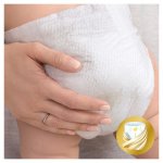 Pampers Premium care 4 68 ks – Zboží Dáma