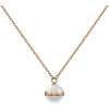 Náhrdelník Daniel Wellington Aspiration necklace DW00400157