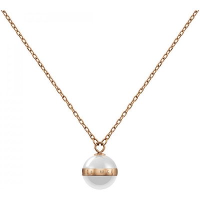 Daniel Wellington Aspiration necklace DW00400157