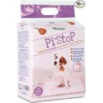 Record plenová podložka Best friend 10 ks 60 x 90 cm – Sleviste.cz