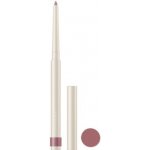 Farmasi Kontúrovací tužka na rty 05 ash brown 0,35 g – Zboží Dáma