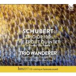 Franz Schubert - Piano Trio Klaviertrio Nr. 2 D.929 Trio D.28 "Sonate" CD – Hledejceny.cz