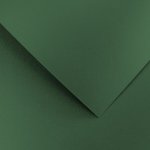 Papír na vizitky A4 210g 205457 Pearl, zelený – Zboží Mobilmania