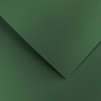 Papír na vizitky A4 210g 205457 Pearl, zelený – Zboží Mobilmania