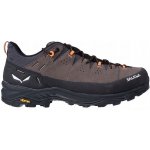 Salewa Alp Trainer 2 Gore Tex hnědé – Hledejceny.cz