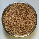 ZS Dynín Pšenice krmná zrno 25 kg – Zboží Dáma