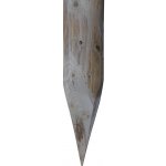 Dřevěný kůl 250 cm, průměr 6 cm - bez impregnace – Zbozi.Blesk.cz