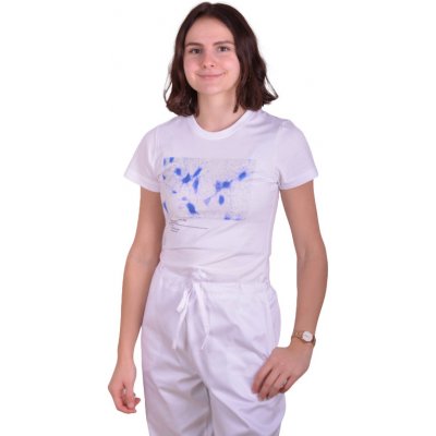 Histologické anglické mozek – Zboží Mobilmania