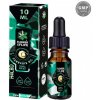 Doplněk stravy na spánek a nervovou soustavu PLANT OF LIFE H4CBD Kokosový olej s H4CBD 20% 10 ml